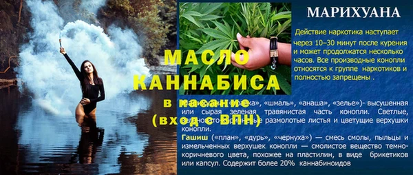 дмт Алексин