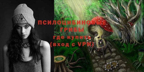 мяу мяу мука Корсаков