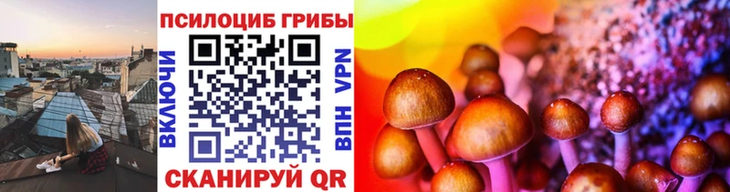 Псилоцибиновые грибы Magic Shrooms  МЕГА tor  Кологрив  купить  